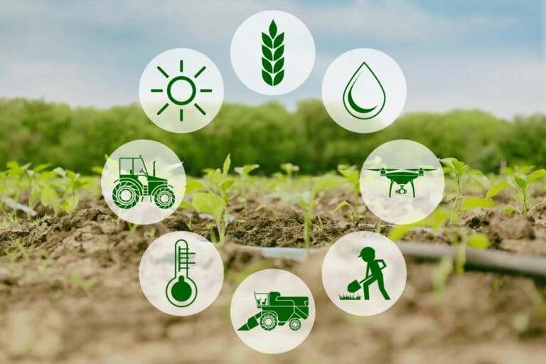 Plant and Harvest - Farm Webflow Template