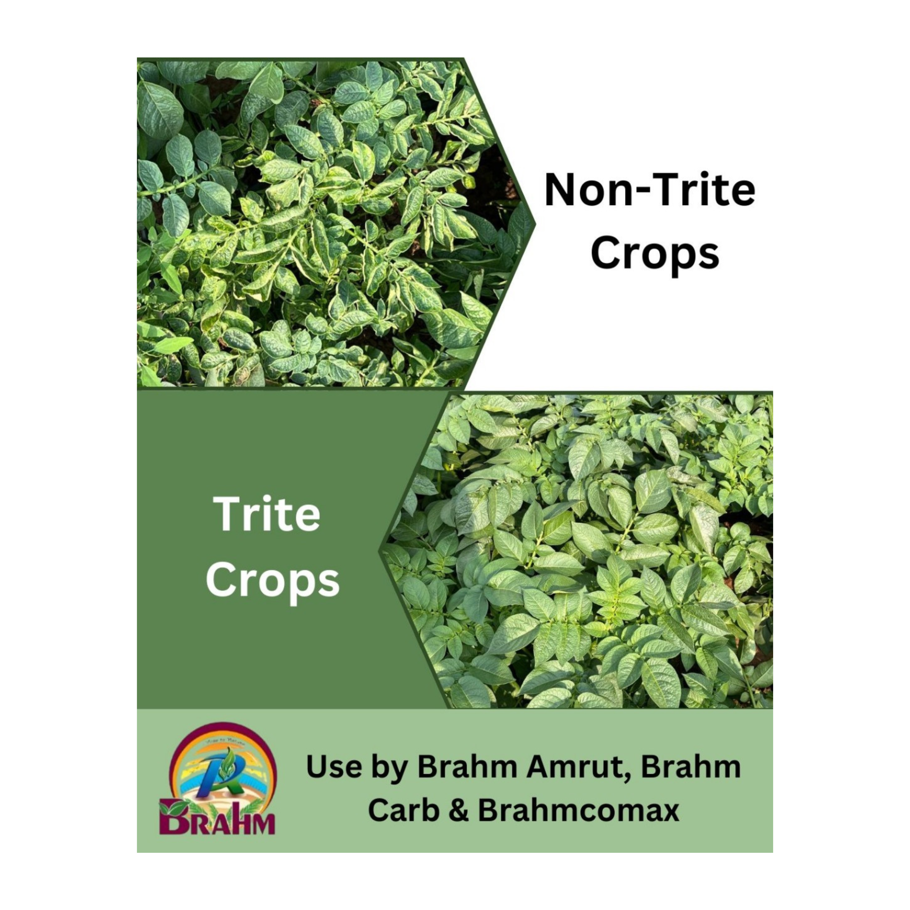 Trited Crops
