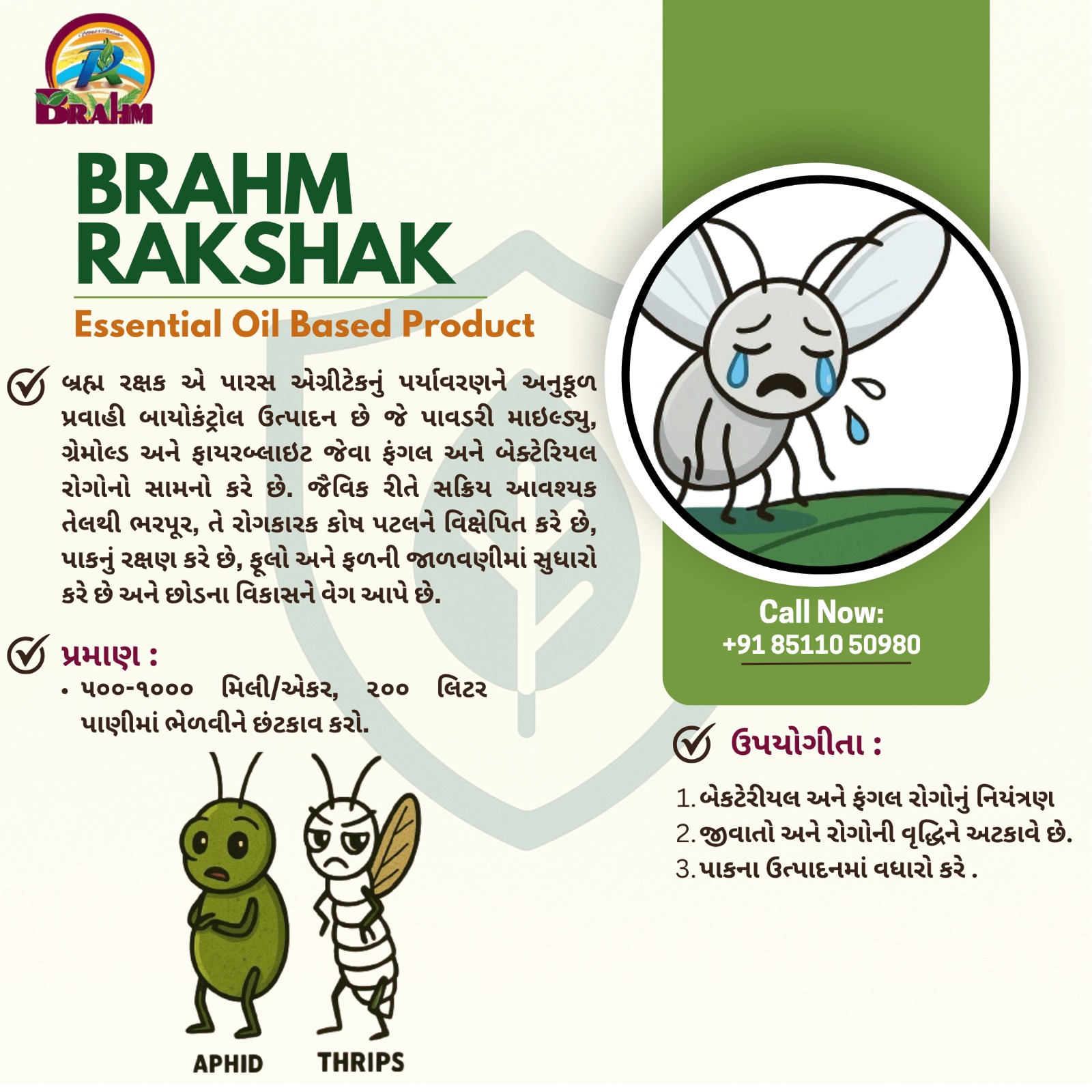 Brahm Rakshak