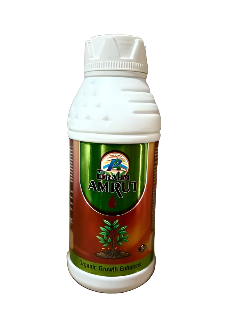 BRAHM AMRUT