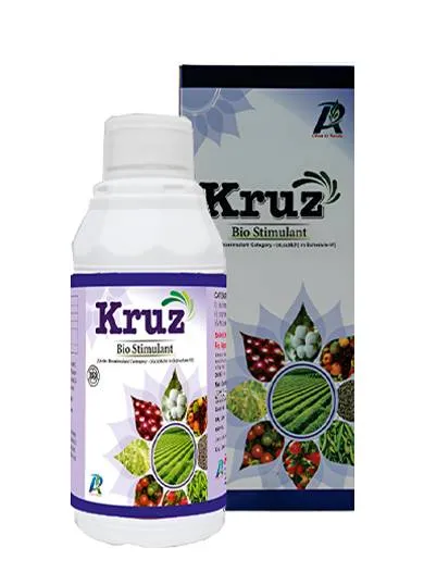 KRUZ