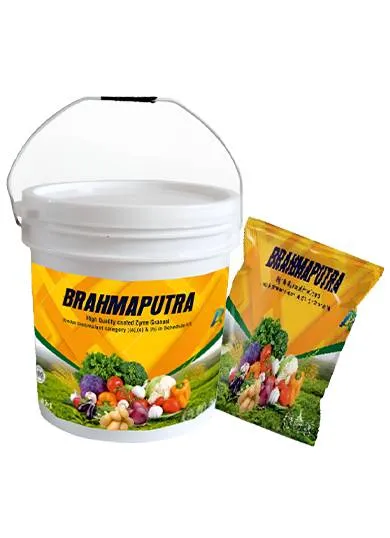 BRAHMPUTRA
