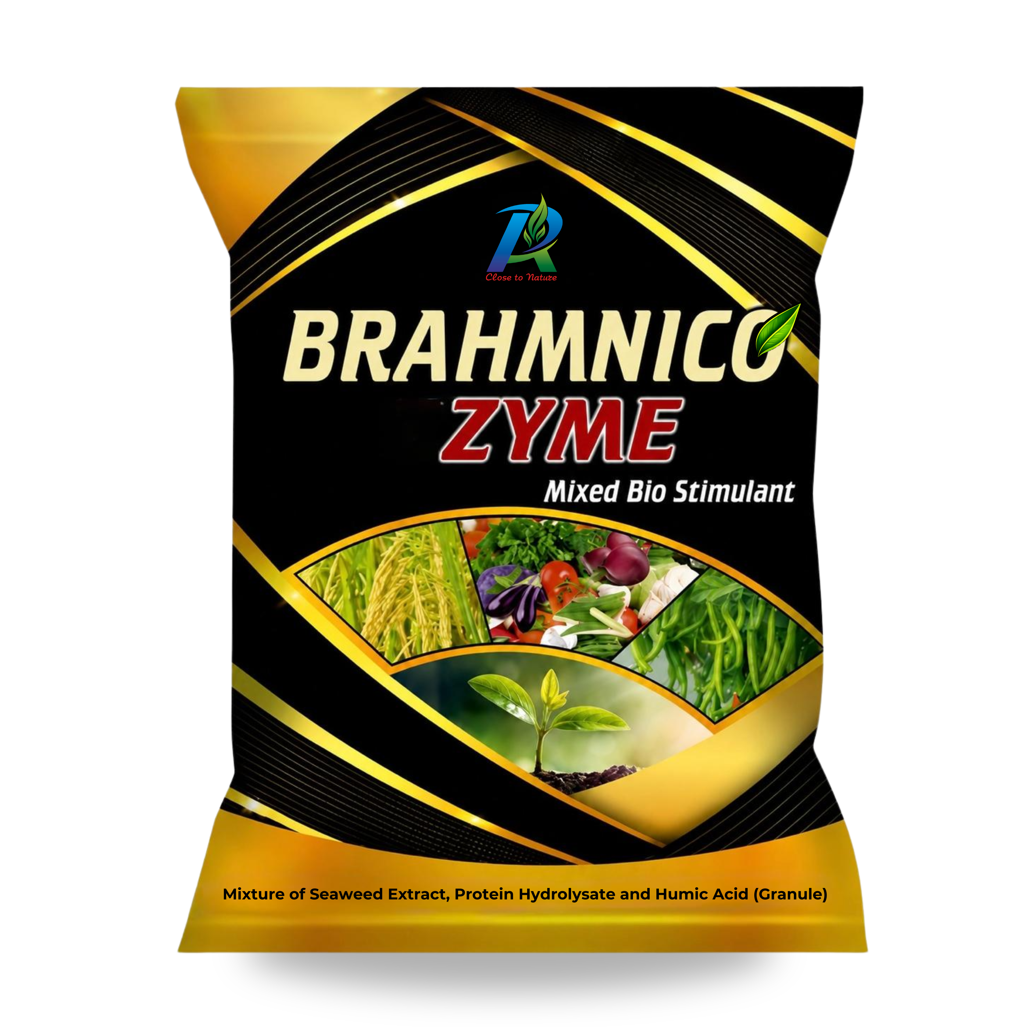 BRAHMNICO ZYME